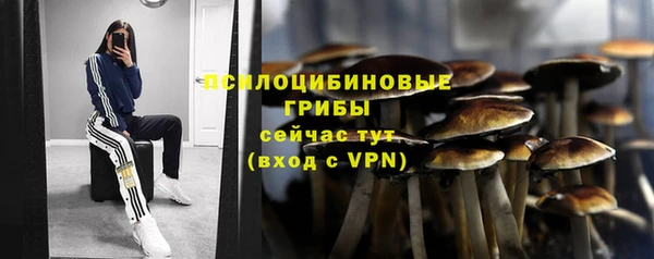 стаф Алексеевка