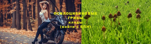 стаф Алексеевка